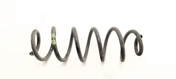 Rear coil spring