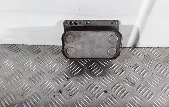 Nissan Qashqai Oil filter mounting bracket 6790972560