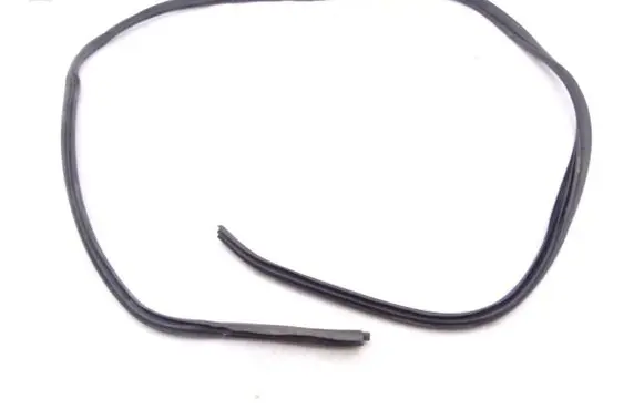 Renault Kangoo II Front door rubber seal 