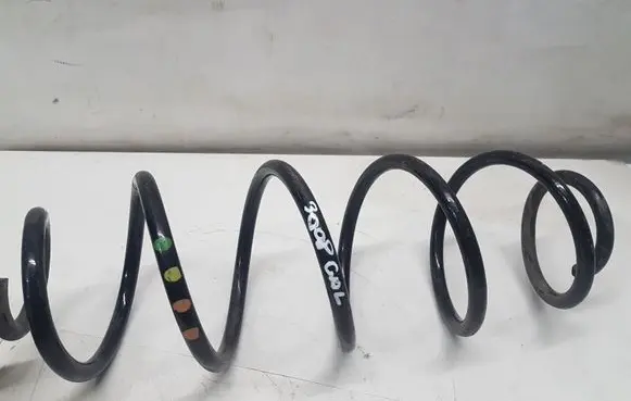 Peugeot 3008 II Rear coil spring 9815577680