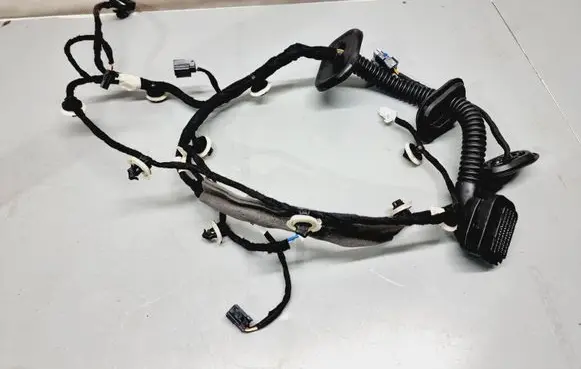 Renault Arkana Front door wiring loom 241256576R