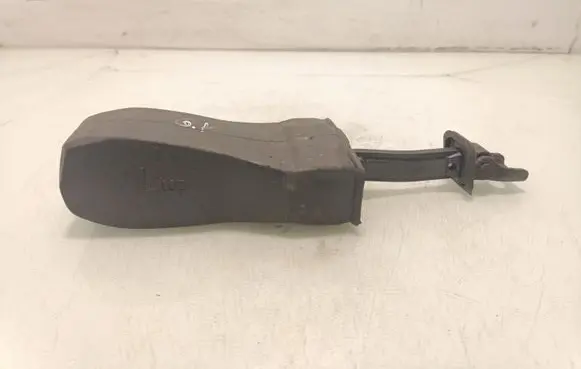 Volkswagen Jetta VI Rear door check strap stopper 5C6839249B