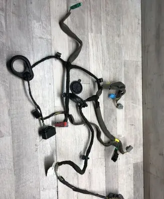 Rear door wiring loom