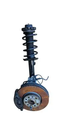 Volkswagen PASSAT B6 Front shock absorber/damper 317575 824904013020