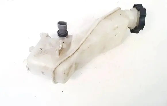 Opel Antara Brake fluid reservoir 