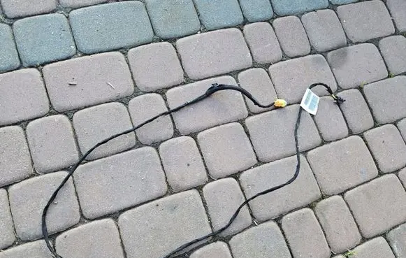 Opel Combo E Other wiring loom 9842570380