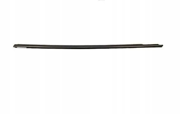 Front door glass trim molding