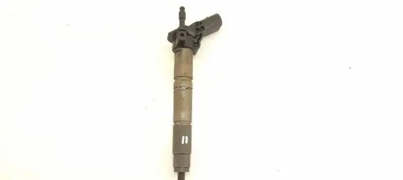 Mercedes-Benz R W251 Fuel injector 6420700587 6420701987