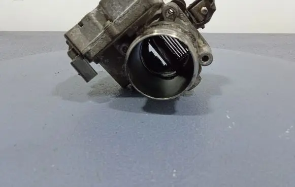 Throttle body valve