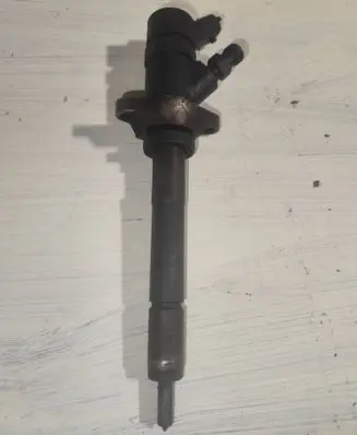 Peugeot 307 Fuel injector 0445110259