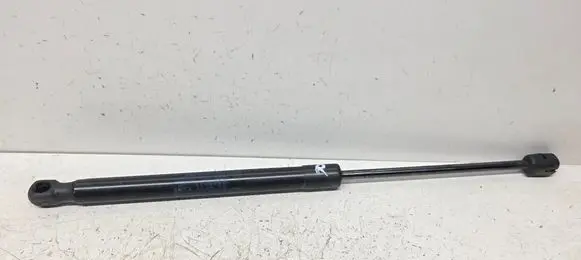 Tailgate/trunk strut/damper