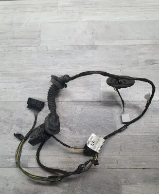 Front door wiring loom