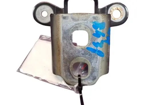 Fiat Freemont Front door hinge set 