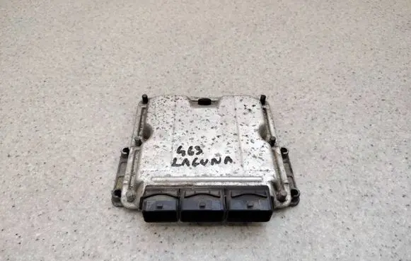Renault Laguna II Engine control unit/module ECU 8200309316 0281011324