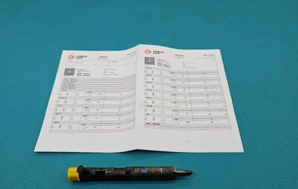 Renault Megane II Fuel injector EJBR04101D IMPRK1439354