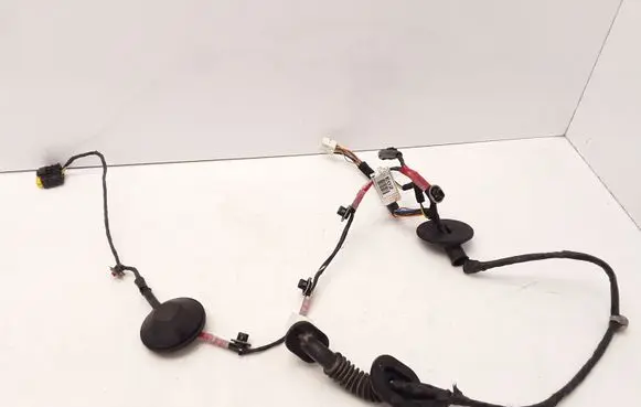 Hyundai ix 55 Rear door wiring loom 916503J020