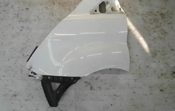 Ford Tourneo Custom Fender BLOTNIKLEWY