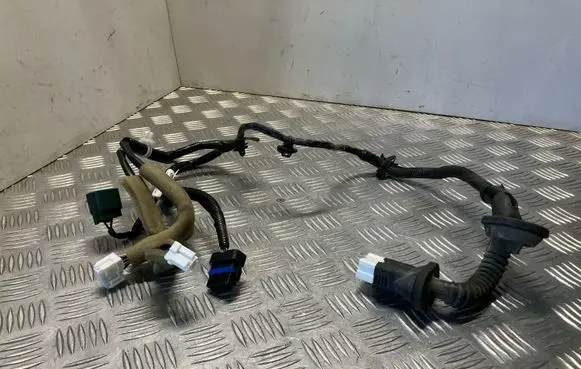 Nissan Juke I F15 Rear door wiring loom 241271KK0A