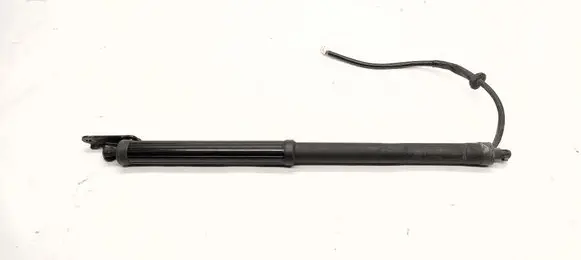 Toyota RAV 4 (XA50) Tailgate/trunk strut/damper 6891042060