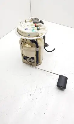 Renault Latitude (L70) In-tank fuel pump 172020037R