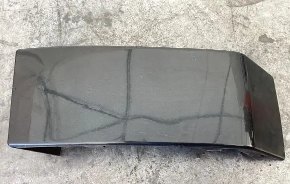 Rear/tail light trim molding
