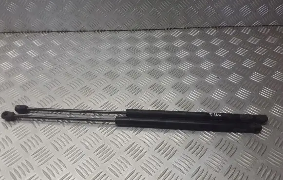 Ford C-MAX I Tailgate hydraulic set 3M51-R406A10-AB
