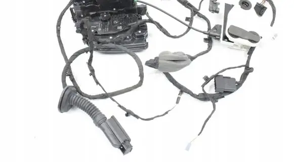 BMW XM Rear door wiring loom 4A219F7