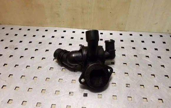 Thermostat/thermostat housing