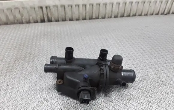 Thermostat/thermostat housing