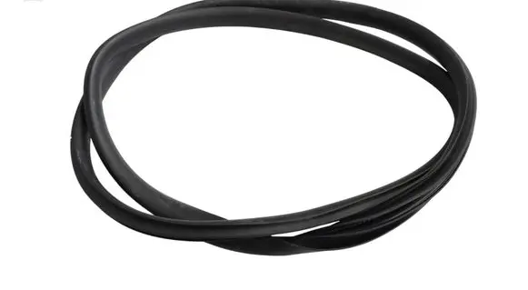 BMW Z4 E85 E86 Rubber seal rear door 