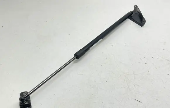 Tailgate/trunk strut/damper