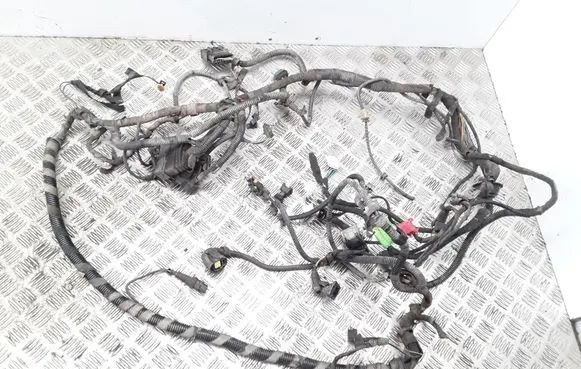 Alfa Romeo 166 Other wiring loom
