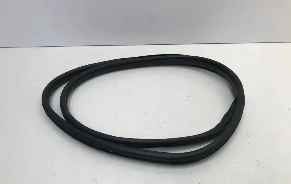 Rear door rubber seal (on body)