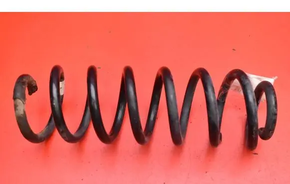 Rear coil spring