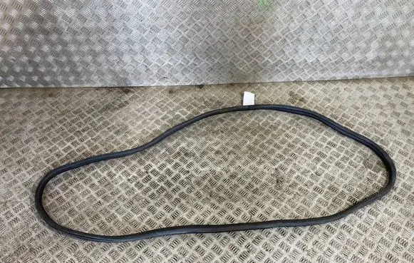 BMW X3 G01 Front door rubber seal 7393423