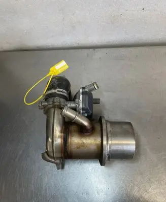 Volkswagen Golf VII EGR thermostat 
