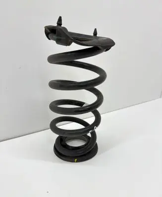 Tesla Model Y Rear coil spring 118847600B