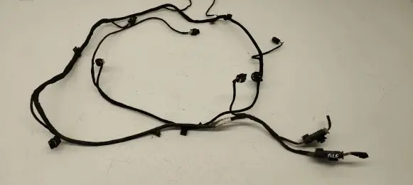 Mercedes-Benz GLE AMG (W166 - C292) Parking sensor (PDC) wiring loom A2925405301