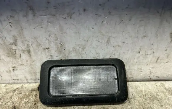 Iveco Daily 5th gen Front seat light 500339036