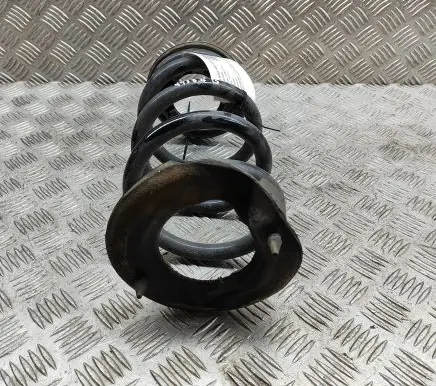 Tesla Model Y Rear coil spring 118847200B
