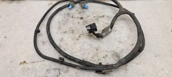 Other wiring loom