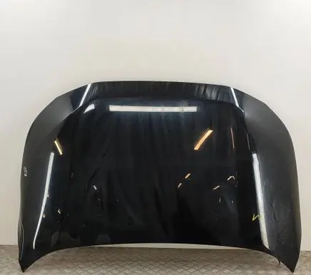 Toyota RAV 4 (XA50) Engine bonnet/hood 5330142150