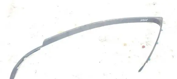 Front door glass trim molding