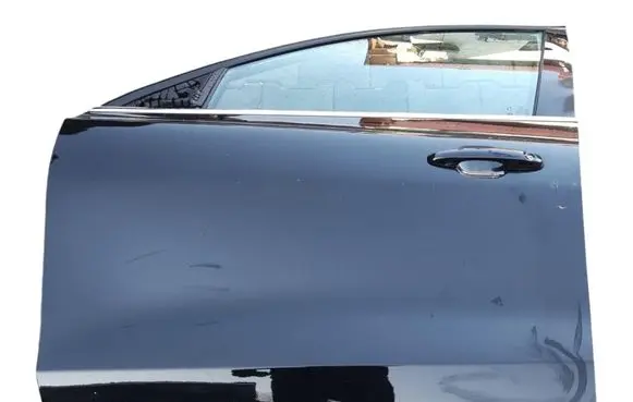 Ford Focus Front door 