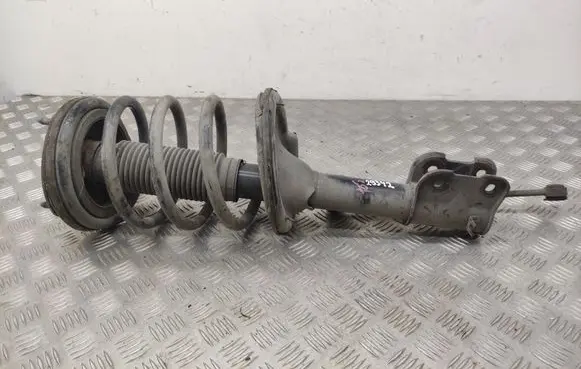Hyundai Santa Fe Front shock absorber/damper