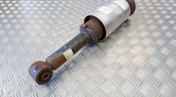 Land Rover Discovery 3 - LR3 Air suspension front shock absorber RNB501250 22241484