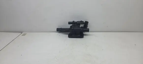 Thermostat/thermostat housing