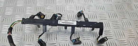 Chevrolet Captiva Fuel injector wires 