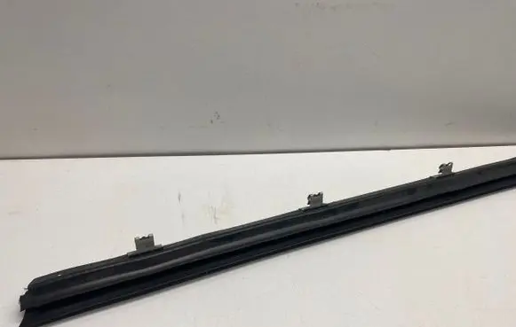 Dodge Charger Rubber seal front door (on door) 