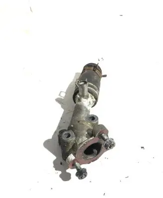 Coolant pipe/hose